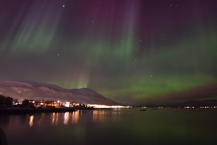 Aurora borealis, 20 January 2026